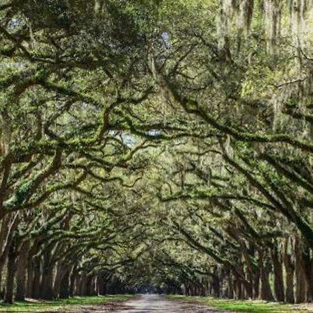 5Min To River Street, Dt - Spacious - Free Parking Savannah Extérieur photo