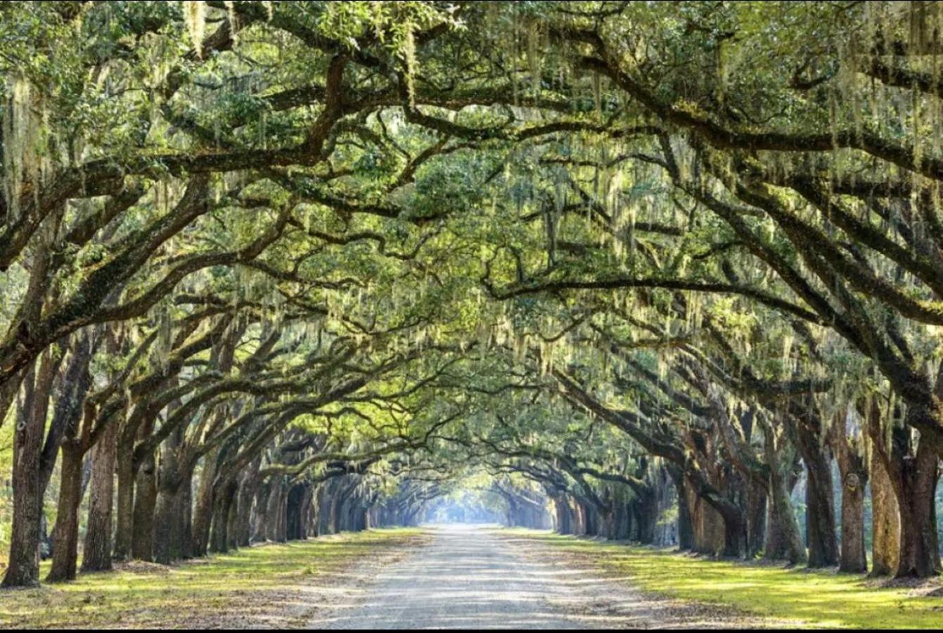 5Min To River Street, Dt - Spacious - Free Parking Savannah Extérieur photo